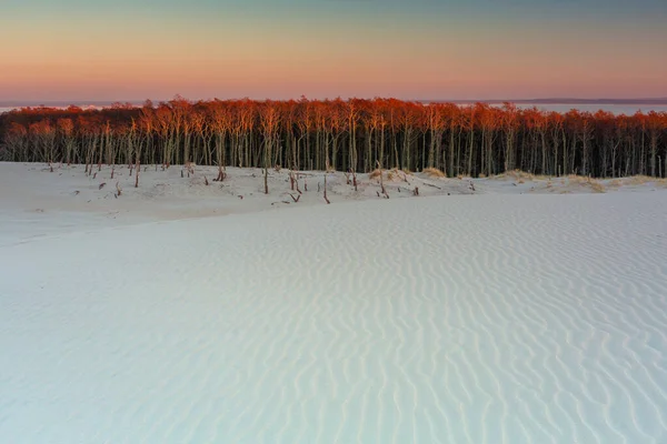 Vackra Landskap Sanddyner Slowinski National Park Vid Solnedgången Leba Polen — Stockfoto