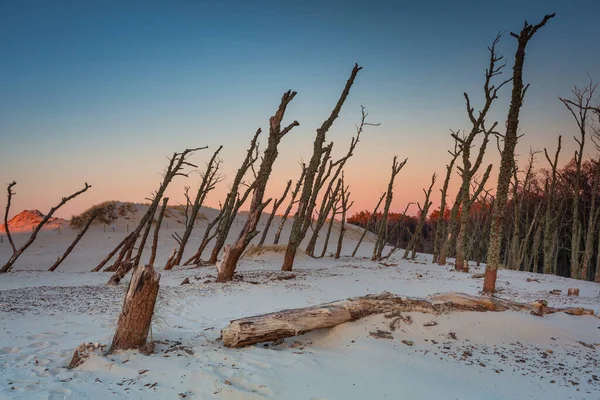 日落时分 斯洛温斯基国家公园里美丽的沙丘风景 — 图库照片