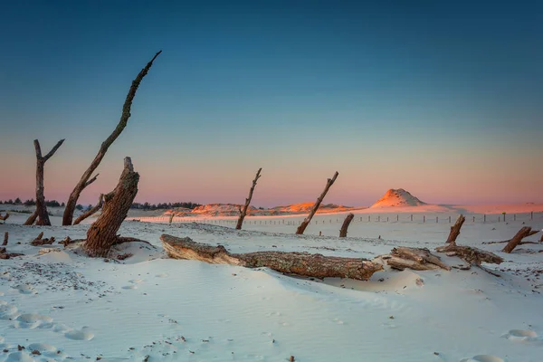 Vackra Landskap Sanddyner Slowinski National Park Vid Solnedgången Leba Polen — Stockfoto