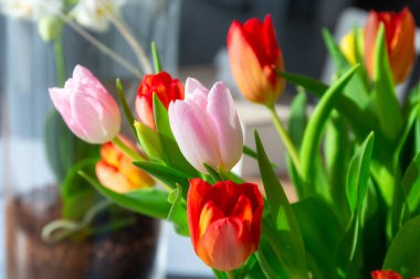 Yemek masasında bir buket bahar lalesi.