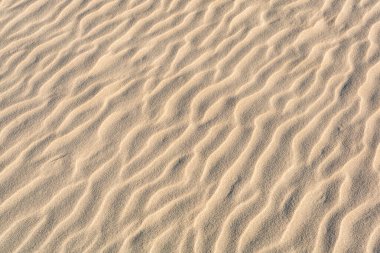 Kumsaldaki kumların deseni