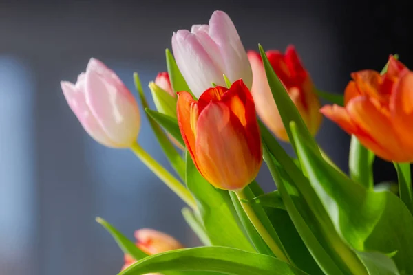 ダイニングテーブルの春のチューリップの花束 — ストック写真