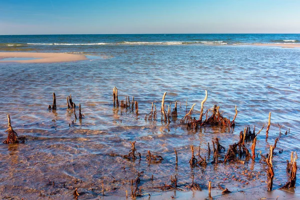 レバノンのバルト海のビーチの美しい景色 ポーランド — ストック写真