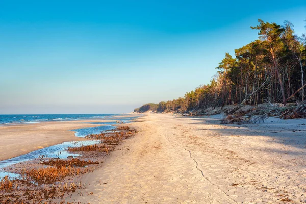 Beautiful Scenery Baltic Sea Beach Leba Poland — Stock Photo, Image