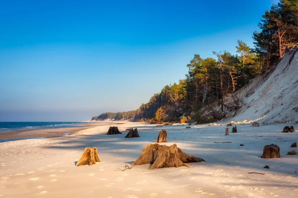 Vackra Landskap Östersjön Stranden Leba Polen — Stockfoto