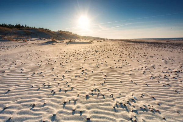 Vackra Landskap Östersjön Stranden Leba Polen — Stockfoto