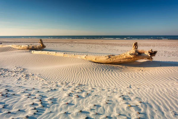 Красивый Пейзаж Пляжа Балтийского Моря Лебе Польша — стоковое фото