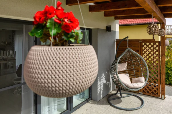 Modern Hanging Rattan Chair Gray Pillows Summer Garden Terrace — ストック写真