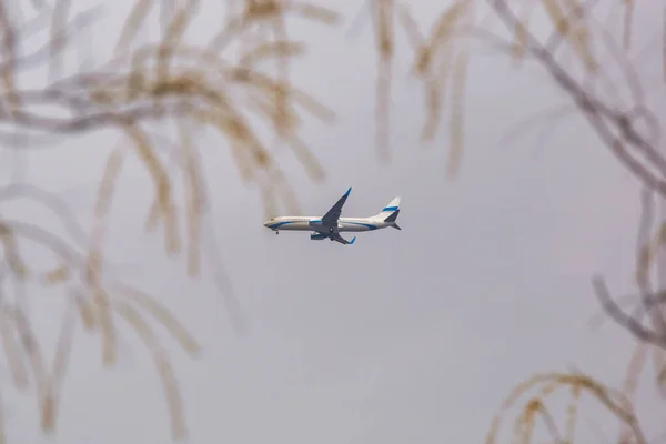 木々の間を空を飛ぶ飛行機 — ストック写真