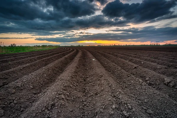 Beau Paysage Champ Labouré Coucher Soleil Pologne — Photo