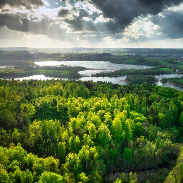 Prachtig Landschap Van Kasjoebische Bossen Meren Een Zonnige Dag Polen — Stockfoto
