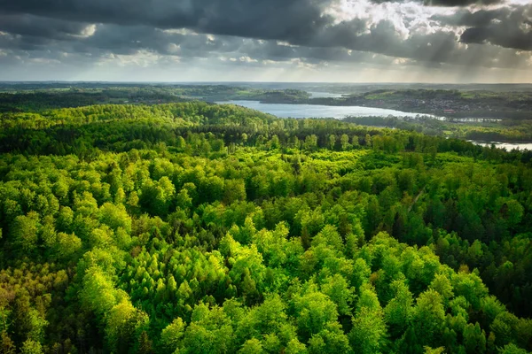 在阳光灿烂的日子里 波兰克什米尔森林和湖泊的美丽风景 — 图库照片