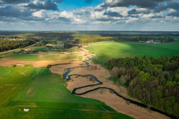 폴란드의 라두나에 의육지는 원시림 — 스톡 사진