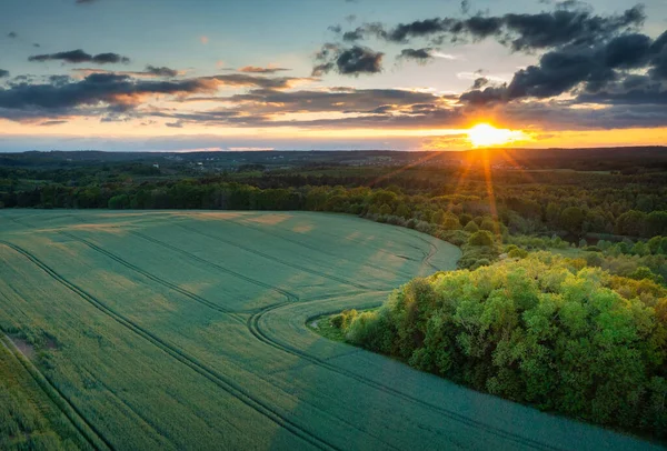 Coucher Soleil Idyllique Sur Champ Blé Pologne — Photo