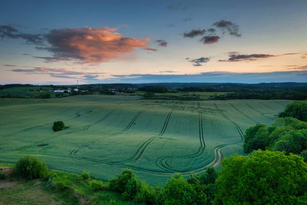 Pôr Sol Idílico Sobre Campo Trigo Polónia — Fotografia de Stock