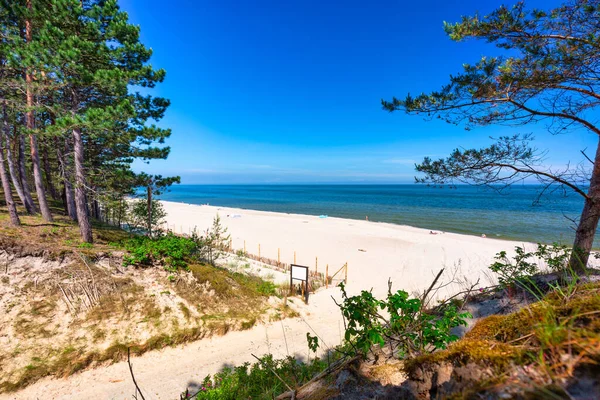 Пейзаж Літнього Пляжу Балтійського Моря Штутово Польща — стокове фото