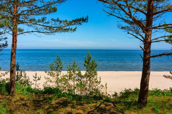 Landschap Van Het Zomerstrand Van Oostzee Sztutowo Polen — Stockfoto