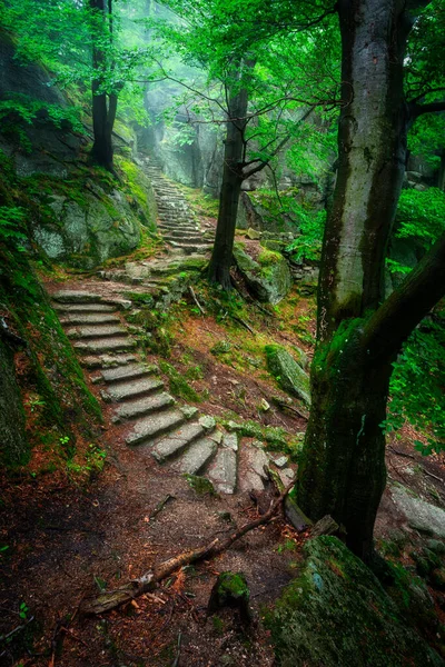 Paisaje Brumoso Escaleras Desde Valle Infernal Hasta Castillo Chojnik Las — Foto de Stock
