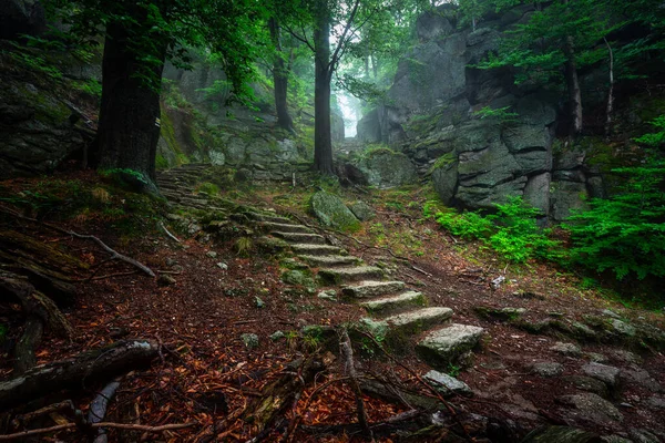 Mlhavá Krajina Schodiště Pekelného Údolí Hradu Chojnik Krkonoších Polsko — Stock fotografie