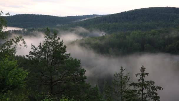 Morning Mists Karkonosze Mountains Poland — Stok video