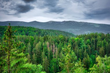 Karkonosze Dağları 'nda sabah sisi. Polonya