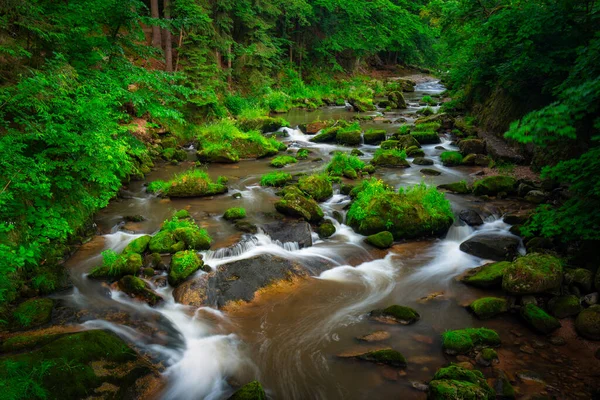 Beautiful Mountain Stream Karkonosze Mountains Poland — Photo