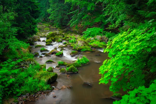 Beautiful Mountain Stream Karkonosze Mountains Poland — Foto de Stock