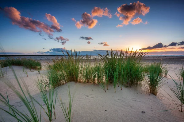 Beautiful Sunset Beach Sobieszewo Island Baltic Sea Poland — Stockfoto