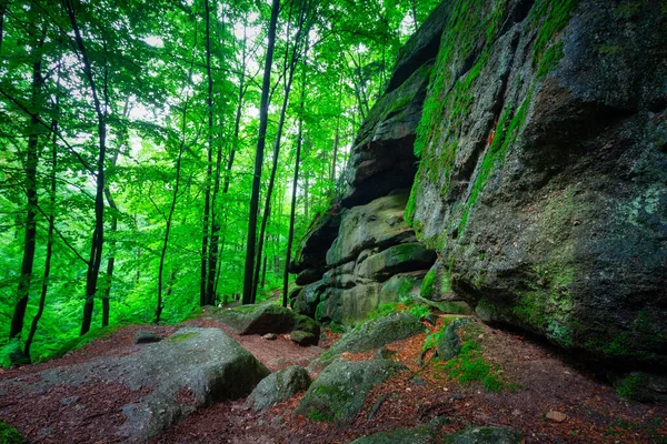 Beautiful Landscape Trail Giant Mountains Chojnik Castle Poland — Stock Photo, Image