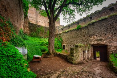 Ruins of the Chojnik Castle in Karkonosze mountains. Poland