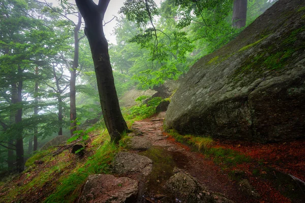 Foggy Landscape Stairs Hellish Valley Chojnik Castle Karkonosze Mountains Poland — Foto de Stock