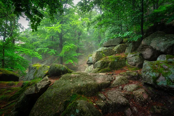 Foggy Landscape Stairs Hellish Valley Chojnik Castle Karkonosze Mountains Poland — Fotografia de Stock