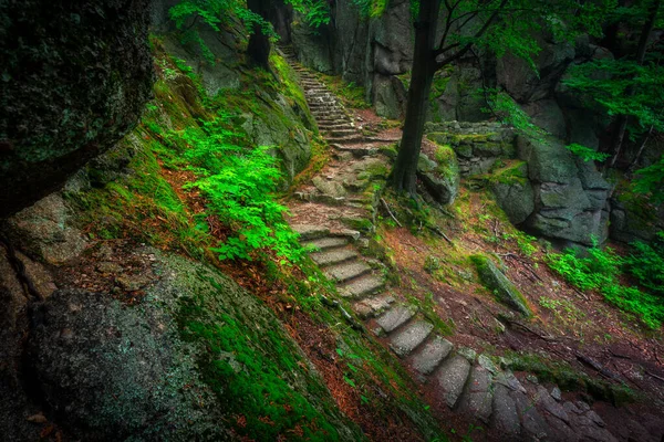 Foggy Landscape Stairs Hellish Valley Chojnik Castle Karkonosze Mountains Poland — Stock fotografie