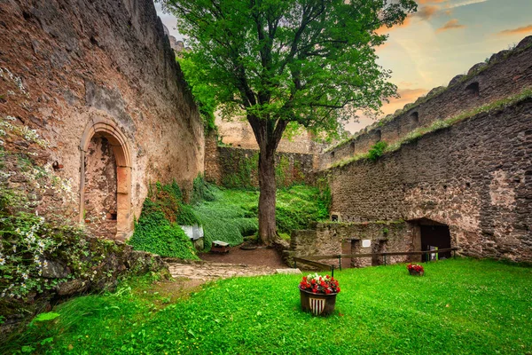 Ruins Chojnik Castle Karkonosze Mountains Poland — Stockfoto