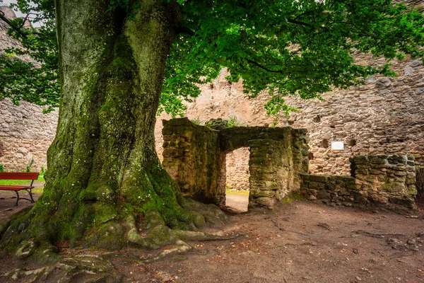 Ruins Chojnik Castle Karkonosze Mountains Poland — Stock fotografie