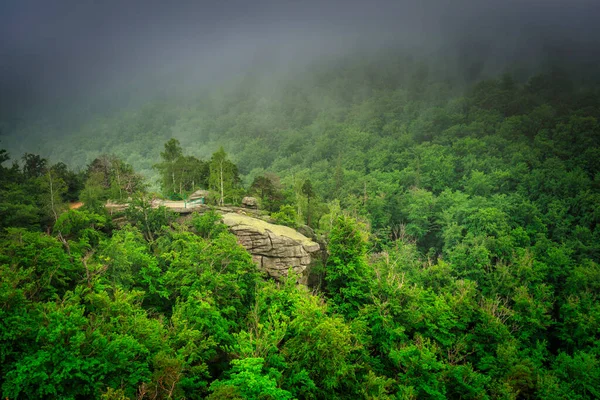Foggy Landscape Trail Hellish Valley Chojnik Castle Karkonosze Mountains Poland — Stock fotografie