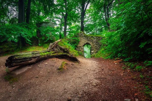 Foggy Landscape Stairs Hellish Valley Chojnik Castle Karkonosze Mountains Poland — Stockfoto