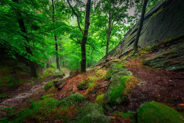 Foggy Landscape Stairs Hellish Valley Chojnik Castle Karkonosze Mountains Poland — Stock fotografie