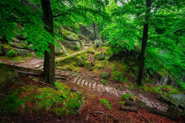 Foggy Landscape Stairs Hellish Valley Chojnik Castle Karkonosze Mountains Poland — Stockfoto