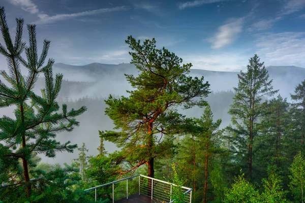 Morning Mists Karkonosze Mountains Poland — Stockfoto