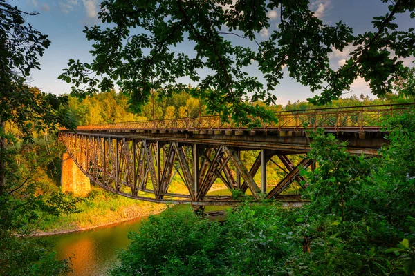 Old Steel Railway Bridge Lake Pilchowickie Poland Lower Silesia — 图库照片