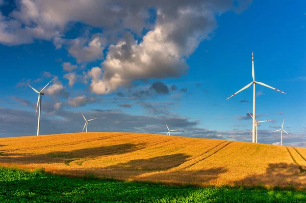 Turbiny Wiatrowe Łące Nad Błękitnym Niebem — Zdjęcie stockowe