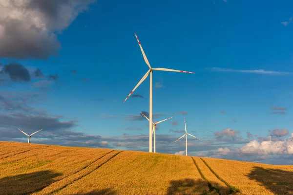 蓝天草地上的风力涡轮机 — 图库照片