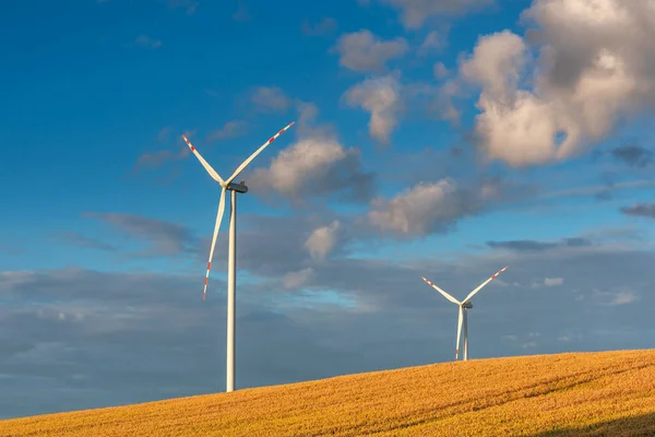 青い空の上の牧草地の風力タービン — ストック写真