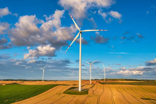 Wind Turbines Meadow Blue Sky — Stock Photo, Image