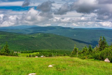 Summer scenery of the trail on Mount Szrenica in the Karkonosze Mountains, Poland.