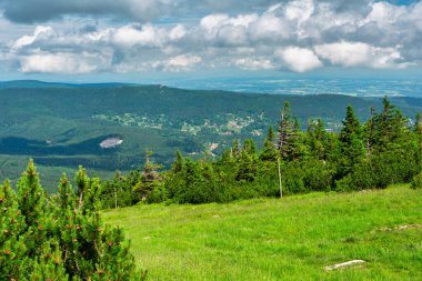 Summer scenery of the trail on Mount Szrenica in the Karkonosze Mountains, Poland.