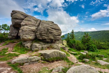 Summer scenery of the trail on Mount Szrenica in the Karkonosze Mountains, Poland.