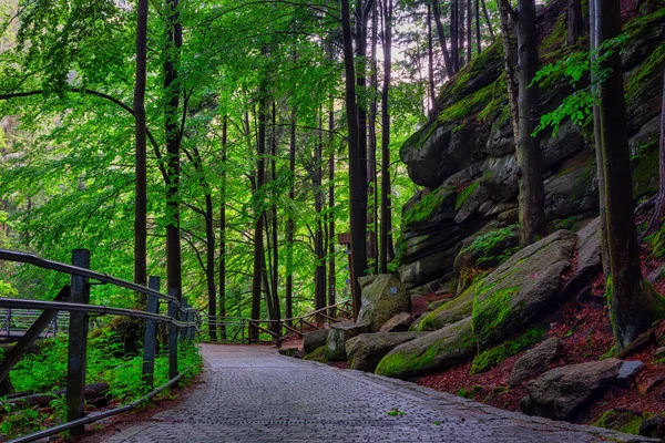 Beautiful Mountain Trail Karkonosze Mountains Poland — Stock Photo, Image