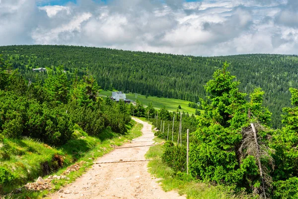 Summer Scenery Trail Mount Szrenica Karkonosze Mountains Poland — Stock fotografie